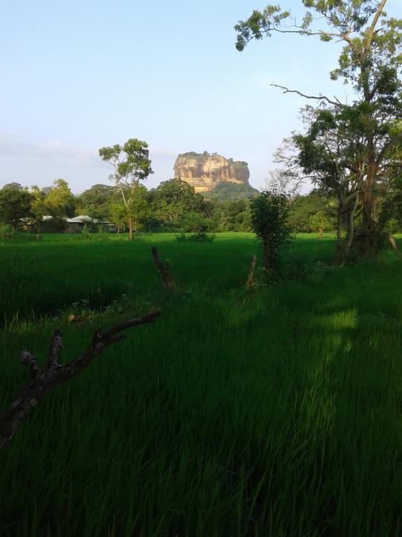 Sigiri Leisure Holiday Home Sigiriya Ngoại thất bức ảnh