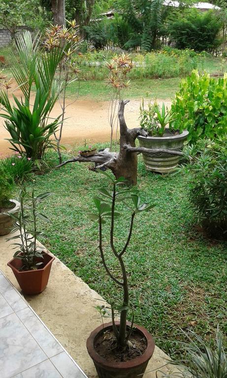 Sigiri Leisure Holiday Home Sigiriya Ngoại thất bức ảnh