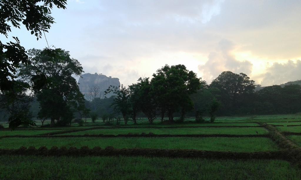 Sigiri Leisure Holiday Home Sigiriya Ngoại thất bức ảnh
